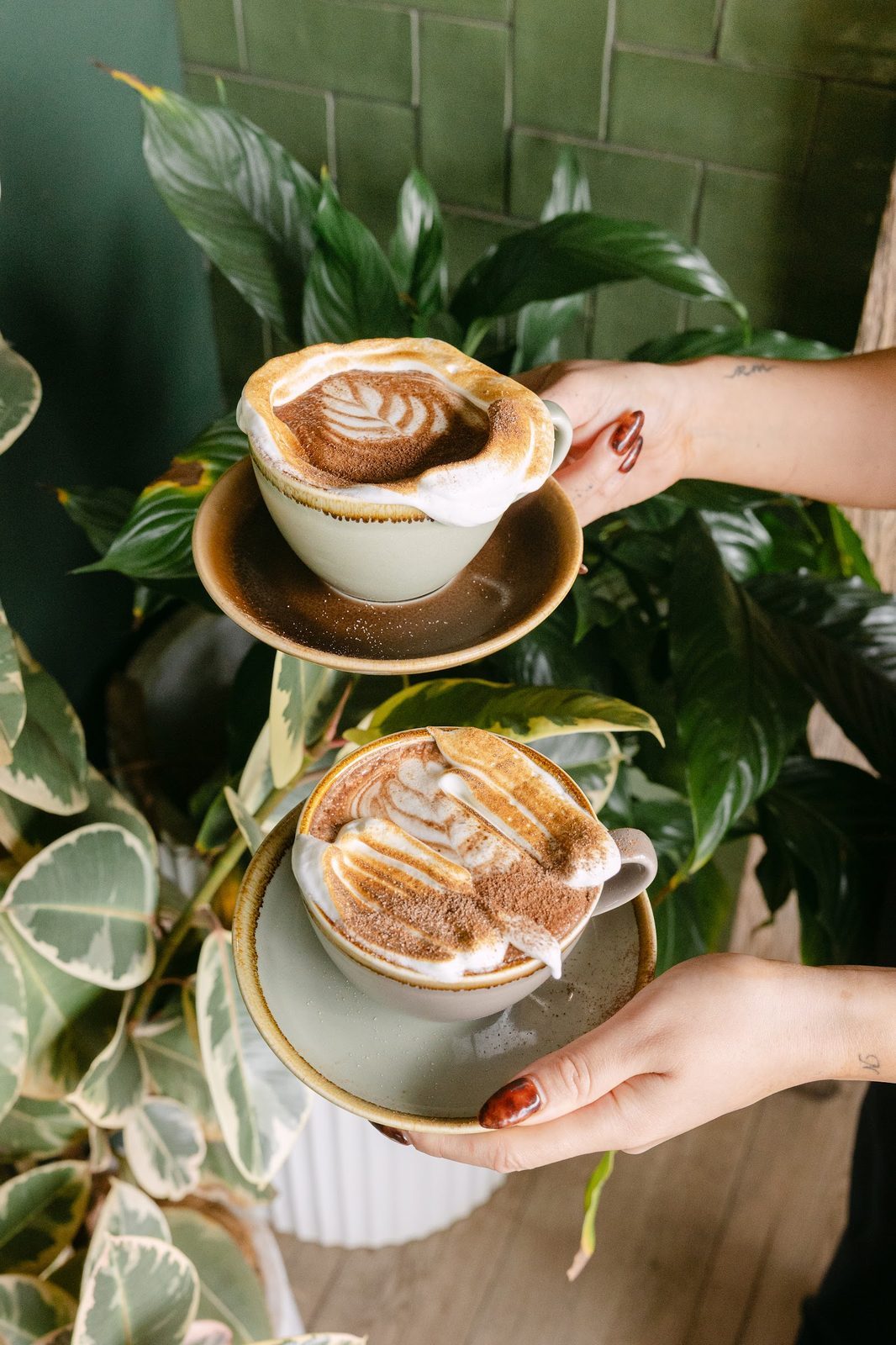 Nalou Kitchen toasted-marshmallow coffees among the plants